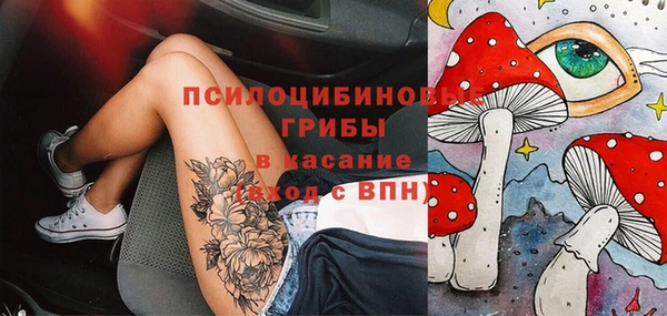 а пвп мука Абаза