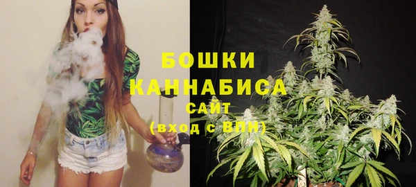 прущие грибы Волгодонск