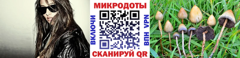 Галлюциногенные грибы мицелий  Александровск-Сахалинский 